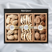 [형지] 백화고 혼합2호(백화고130g+표고채100g+동고100g)