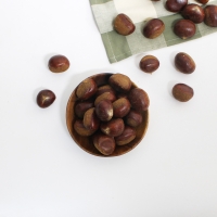 26년산 부여농부의 유기농 대보밤 1kg (특대 / 대 / 중) 유기농밤 산밤 약밤 부여알밤 부여밤