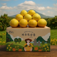 [오커마니] 제주 황금향 3kg 5kg 선물세트