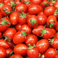 [농협] 대추방울토마토 2kg(4번과) 