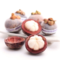 [말랑달콤] 망고스틴 500g×2ea [냉동]