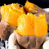 [자연속애] 안면도 호박고구마 3kg/5kg/7kg/10kg (왕400g-700g내)