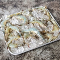 [산지직송] 전남 신안_생물 흰다리 새우 [500g-1kg]