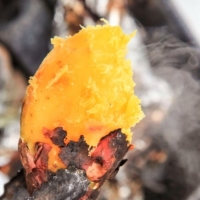 베니하루카 꿀고구마 세척 고구마 3kg 5kg 10kg