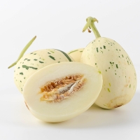 [오커최고] 백자 메론 달콤 멜론 2kg 4kg