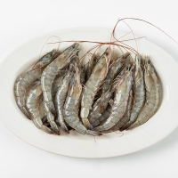 [제철수산물]활 흰다리새우 1kg(최)