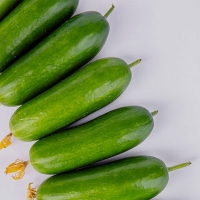 [만원의 행복] [한입최고] 대세 미니오이 500g 1kg 2kg 아삭한 오이