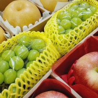  [선물세트] 과일 알찬  선물세트(마)