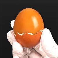 영양만점  구운계란(푸)