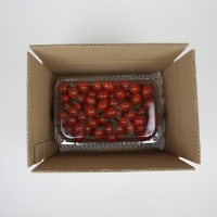 대추방울토마토 2kg/4kg(최)