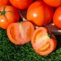 신선하고 건강한맛 완숙토마토