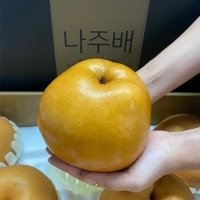 [명절캄스] 나주 배 선물세트 5kg 7.5kg