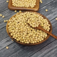 (25년산) 홍성농부의 백태 1kg 메주콩 노란콩 대두