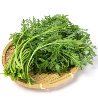 [농협] 한아름드린 제철미각 쑥갓 1kg/2kg/4kg(특)