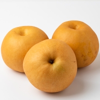 [만원의 행복]  [햇배최고] 신고배 가정용 못난이 달콤한 배 3kg 5kg