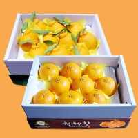 [농협] 한아름드린 한라봉/천혜향 묶음세트(한라봉3kg/13과내+천혜향3kg/13과내)