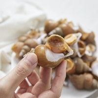 동해안 자연산 백골뱅이 1kg (기본,대,왕)  동해직송