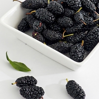 [오커브팜] 탱글 오디 뽕열매 청일 과상 품종 1kg ~ 10kg