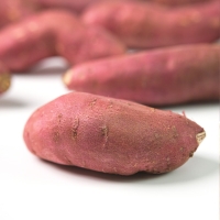 [농협] 한아름드린 세척 밤고구마 2kg/3kg/5kg/10kg(특상/100-300g)