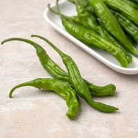 [농협] 한아름드린 신선 꽈리고추 1kg/2kg/3kg/4kg(특)