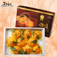 [푸토리] 향긋한 마음의 선물 제주마을 한라봉세트 3kg / 5kg