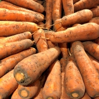 [농협] 한아름드린 채소3종 감자2kg(특)+고구마2kg(특상)+흙당근1kg(상)