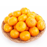 [농협공판장] 정성드린 제주 칠십리 조생 감귤 5kg(M-2S/47-94과내)