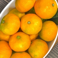 [뜰안애] 보석 노지감귤 5kg(2L/L사이즈 랜덤발송)