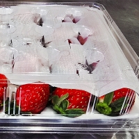 [보름데이] 경북 고령 설향딸기(푸)