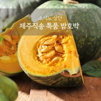 [농장직송] 제주 특품 로얄과 미니밤호박 [1kg-9kg]