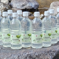 전문가가 직접 채취한 지리산 고로쇠 수액 1.5L 3병 ~ 