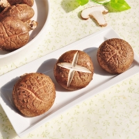 [명절캄스] 표고 버섯 선물세트 2kg 4kg