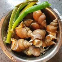 국내산 백고동 (급냉 / 생물)