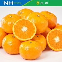 [제주감귤농협] 카라향 [1.8kg-4kg]