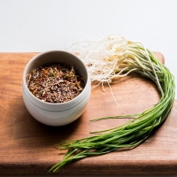 입맛을 돋아주는 알싸한 맛 노지 세척 달래 500g 외 4종