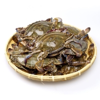  [산지직송] 국내산 활 숫꽃게 1kg (3~6미 내외)
