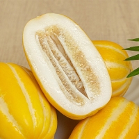 [과일] 과즙팡팡 수분가득 특품용 성주참외  1kg/2kg/3kg/5kg