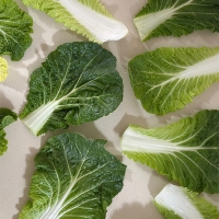 고소하고  달큰한  봄동