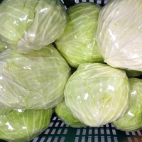 [보름데이] 아삭한 제주 양배추(푸)