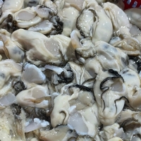 [제철!] 산지직송 최상급 통영 깐 굴 1kg  버블세척 