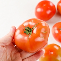 [부엌애] GAP인증 탱글탱글 유럽종 완숙 찰토마토 2.5kg~5kg