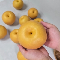 [신한카드 할인] 아삭하고 시원한 나주배