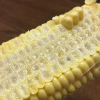 산지직송 달콤아삭 초당옥수수 5개입 14cm 이상