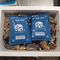 [만원의 행복] 신선함을 그대로 여수 석화(푸)