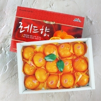 [제주향기] 탐나는 레드향 3kg(13-15과내)  1박스/2박스