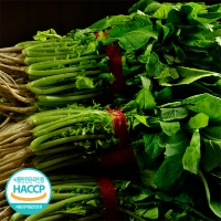 시원하고 아삭한 식감의 열무김치 & 열무물김치(푸)