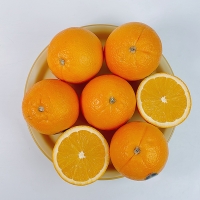 [오커최고] 따봉 수입 오렌지 중과 대과 사이즈