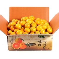 청정 제주 하우스 비가림감귤(푸)