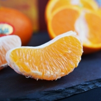 [오커브팜] 제주 한라봉 천혜향 레드향 만감 혼합 일반포장