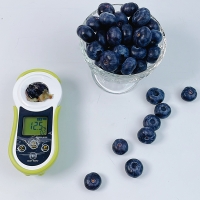 [오커최고] 수입 블루베리 생과 칠레 블루베리 18mm
